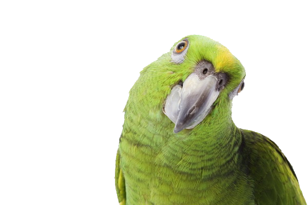 हरा तोता